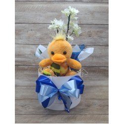 Kit Maternidade Menino com Mini Orquídea 2 Hastes Pote 9 - Cor Variada + Pelúcia Kit Maternidade Menino com Mini Orquídea 2 Hastes Pote 9 - Cor Variada + Pelúcia
